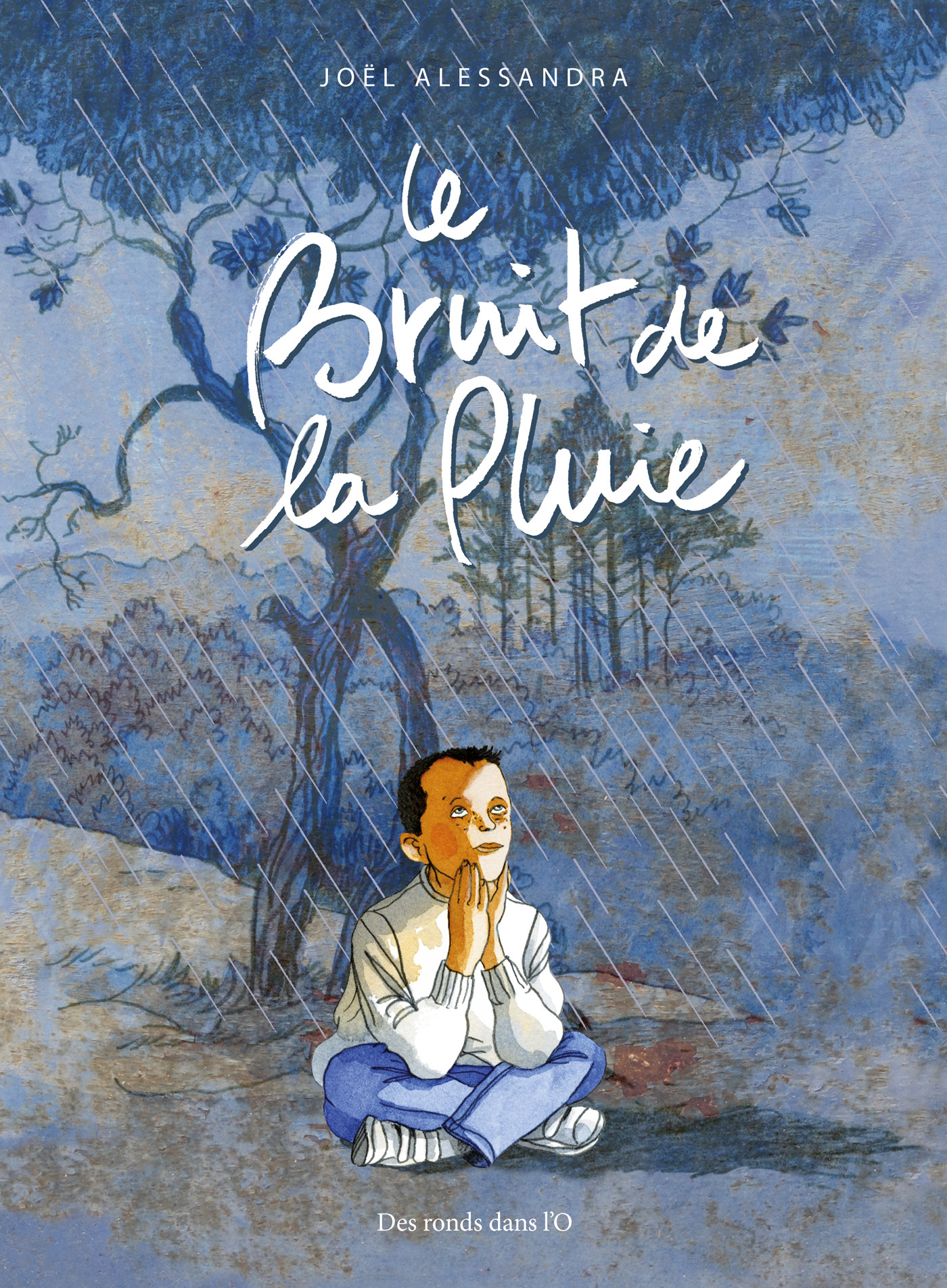 Le Bruit De La Pluie