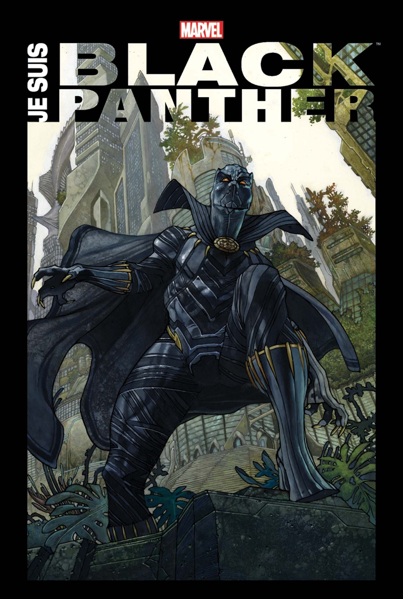 Je Suis Black Panther