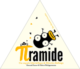 Piramide