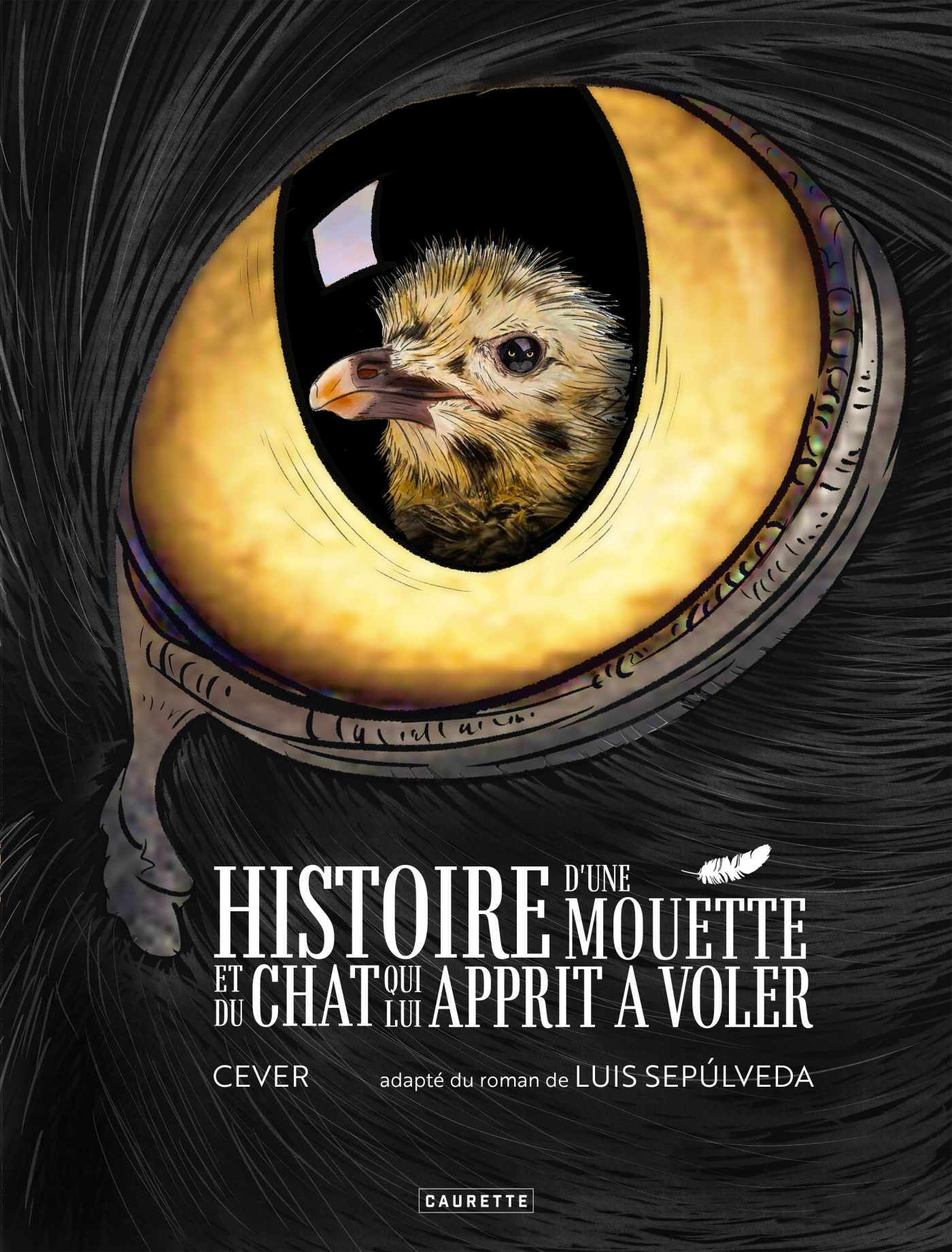 Histoire D'Une Mouette Et Du Chat Qui Lui Apprit A Voler